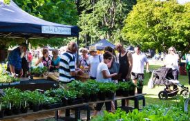 Hawke's Bay Farmers' Market